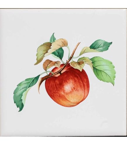 Amazon.co.jp: 100角壁用アクセント 絵タイル リンゴ小 F0403 : DIY